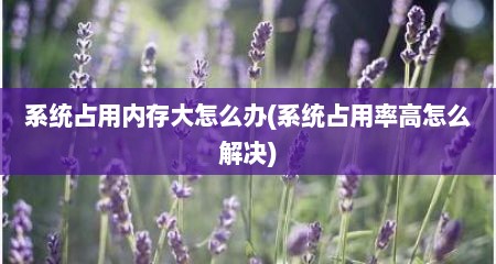 系统占用内存大怎么办(系统占用率高怎么解决)