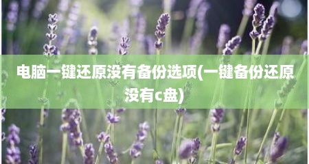 电脑一键还原没有备份选项(一键备份还原没有c盘)