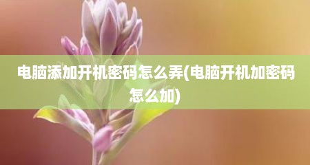 电脑添加开机密码怎么弄(电脑开机加密码怎么加)