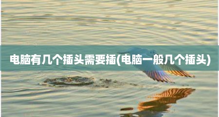 电脑有几个插头需要插(电脑一般几个插头)