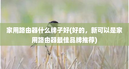 家用路由器什么牌子好(好的，新可以是家用路由器最佳品牌推荐)