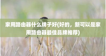 家用路由器什么牌子好(好的，新可拟是家用路由器最佳品牌推荐)