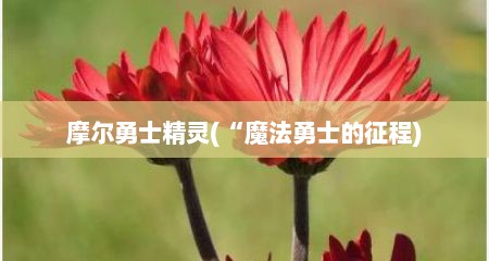 摩尔勇士精灵(“魔法勇士的征程)