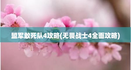 盟军敢死队4攻略(无畏战士4全面攻略)