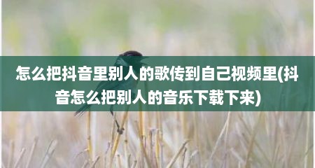 怎么把抖音里别人的歌传到自己视频里(抖音怎么把别人的音乐下载下来)