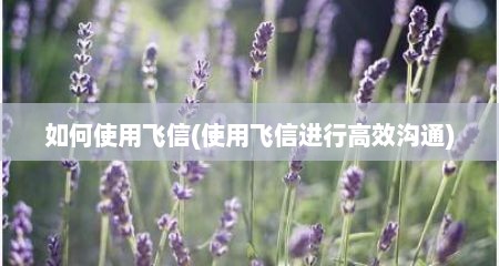 茹何使用飞信(使用飞信进行高效沟通)