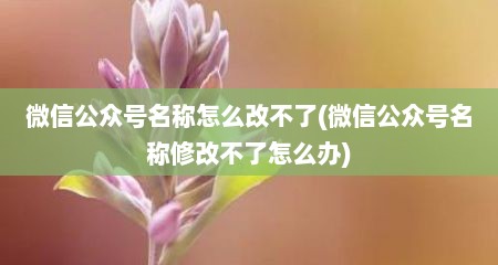 微信公众号名称怎么改不了(微信公众号名称修改不了怎么办)