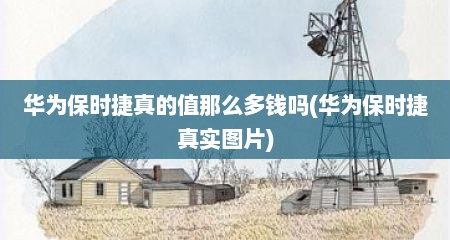 华为保时捷真的值那么多钱吗(华为保时捷真实图片)