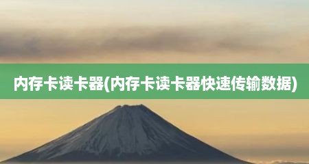 内存卡读卡器(内存卡读卡器快速传输数据)