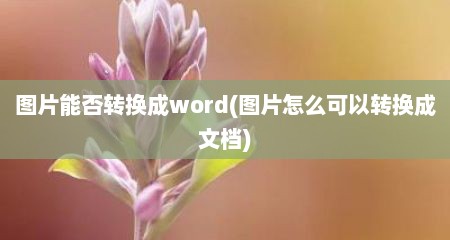 图片能否转换成word(图片怎么可以转换成文档)