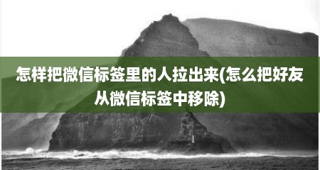 怎样把微信标签里的人拉出来(怎么把好友从微信标签中移除)