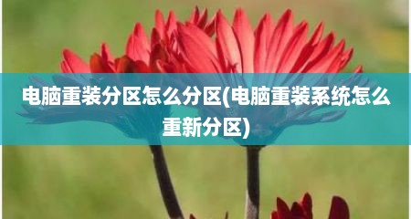 电脑重装分区怎么分区(电脑重装系统怎么重新分区)