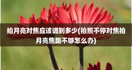 拍月亮对焦应该调到多少(拍照不停对焦拍月亮焦距不够怎么办)