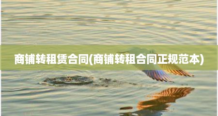 商铺转租赁合同(商铺转租合同正规范本)