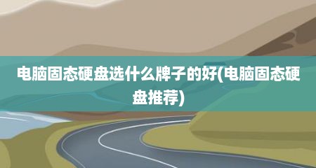 电脑固态硬盘选什么牌子的好(电脑固态硬盘推荐)