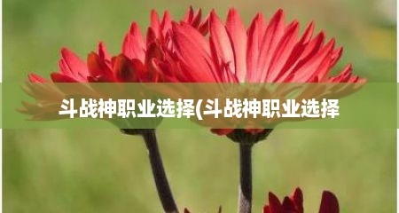 斗战神职业选择(斗战神职业选择