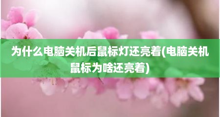 为什么电脑关机后鼠标灯还亮着(电脑关机鼠标为啥还亮着)