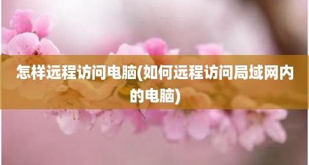 怎样远程访问电脑(如何远程访问局域网内的电脑)