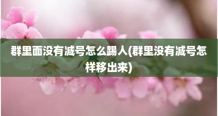 群里面没有减号怎么踢人(群里没有减号怎样移出来)
