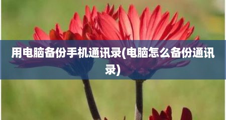 用电脑备份手机通讯录(电脑怎么备份通讯录)