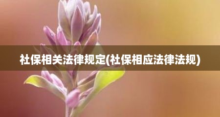 社保相关法律规定(社保相应法律法规)