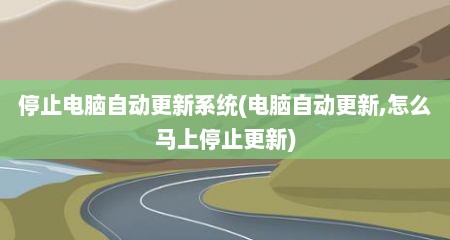 停止电脑自动更新系统(电脑自动更新,怎么马上停止更新)