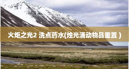 火炬之光2 洗点药水(烛光涌动物品重置 )