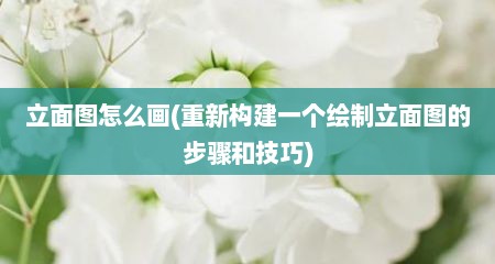 立面图怎么画(重新构建一个绘制立面图的步骤和技巧)