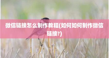 微信链接怎么制作教程(如何如何制作微信链接?)