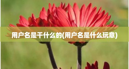 用户名是干什么的(用户名是什么玩意)