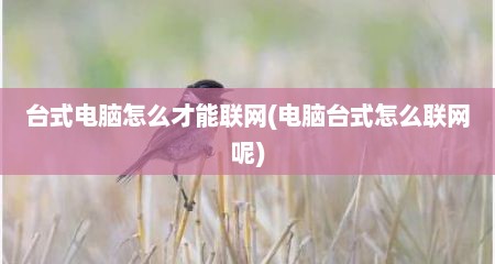 台式电脑怎么才能联网(电脑台式怎么联网呢)