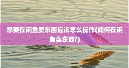 想要在闲鱼卖东西应该怎么操作(如何在闲鱼卖东西?)