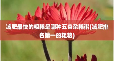 减肥最快的粗粮是哪种五谷杂粮粥(减肥排名第一的粗粮)