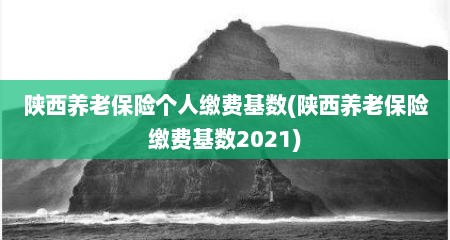 陕西养老保险个人缴费基数(陕西养老保险缴费基数2021)