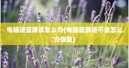 电脑进蓝屏该怎么办(电脑蓝屏进不去怎么办恢复)