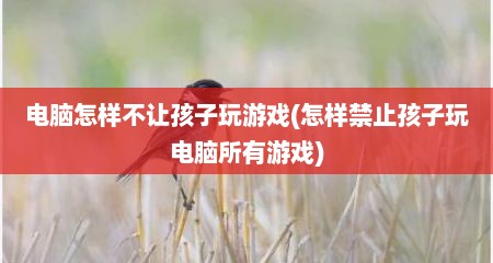 电脑怎样不让孩子玩游戏(怎样禁止孩子玩电脑所有游戏)