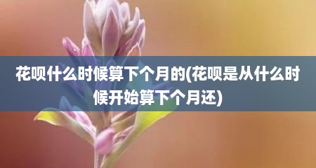 花呗什么时候算下个月的(花呗是从什么时候开始算下个月还)