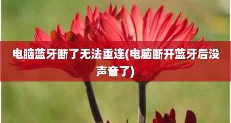 电脑蓝牙断了无法重连(电脑断开蓝牙后没声音了)