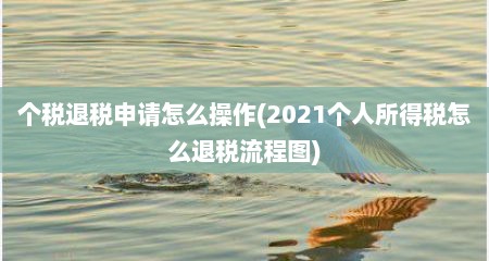 个税退税申请怎么操作(2021个人所得税怎么退税流程图)