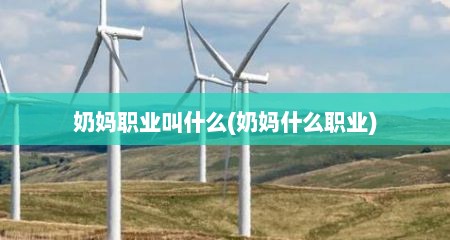 奶妈职业叫什么(奶妈什么职业)