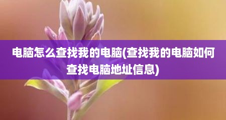 电脑怎么查找我的电脑(查找我的电脑如何查找电脑地址信息)