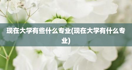 现在大学有些什么专业(现在大学有什么专业)