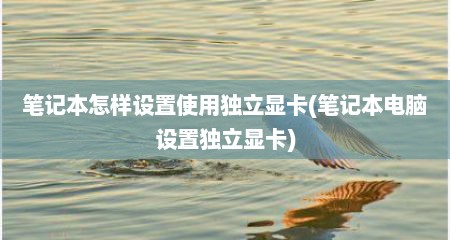 笔记本怎样设置使用独立显卡(笔记本电脑设置独立显卡)
