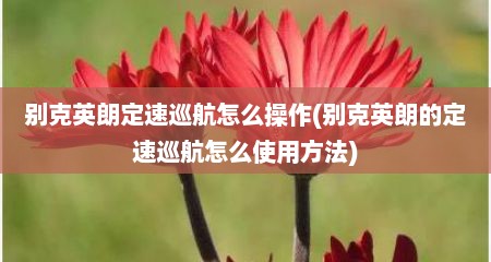 别克英朗定速巡航怎么操作(别克英朗的定速巡航怎么使用方法)