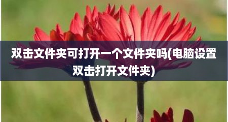 双击文件夹可打开一个文件夹吗(电脑设置双击打开文件夹)
