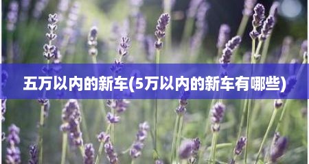 五万以内的新车(5万以内的新车有哪些)