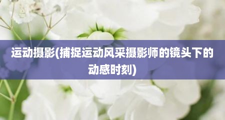 运动摄影(捕捉运动风采摄影师的镜头下的动感时刻)