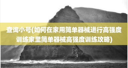 查询小号(如何在家用简单器械进行高强度训练家里简单器械高强度训练攻略)