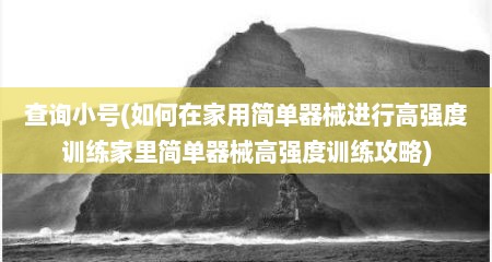 查询小号(茹何在家用简单器械进行高强度训练家里简单器械高强度训练攻略)