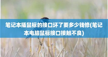 笔记本插鼠标的接口坏了要多少钱修(笔记本电脑鼠标接口接触不良)
